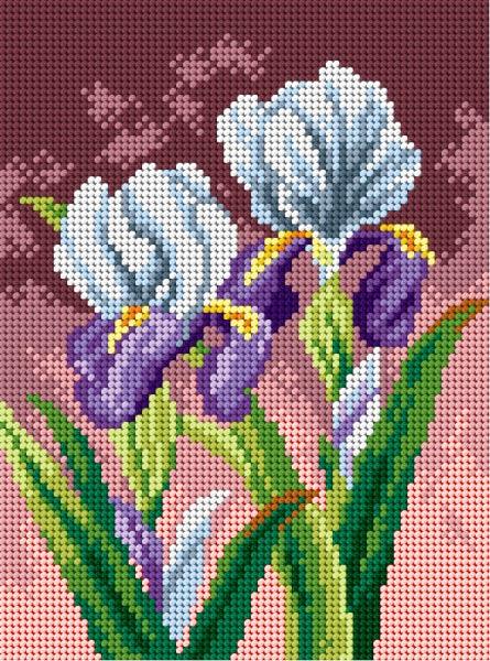 Needlepoint canvas featuring a vibrant Spring Irises design, measuring 18x24 cm, ideal for halfstitch projects.